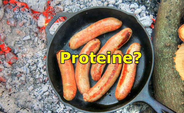 Cantitate proteine de origine vegetala si animala per 100 grame?